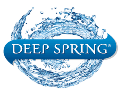Deepspring logo