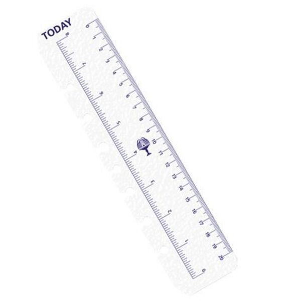 Collins Dayplanner Personal Today Ruler Refill 2 Pack