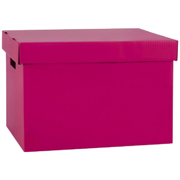 Marbig Coloured Archive Box Berry