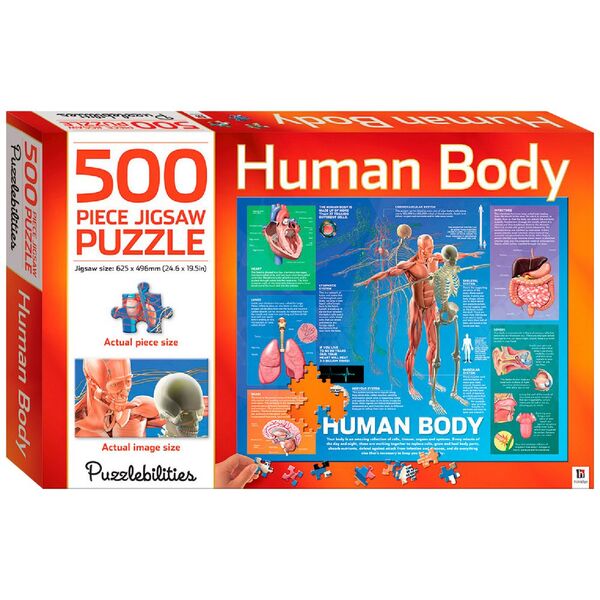 Hinkler Human Body Puzzle 500 Piece