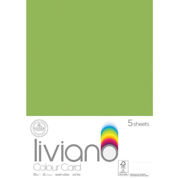 Liviano A3 Colour Card 180gsm Grass 5 Pack