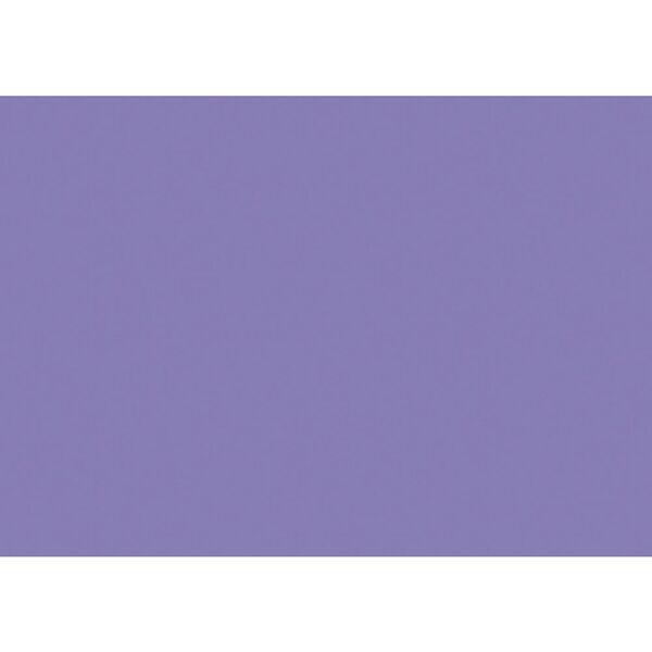 Liviano A2 Colour Card 180gsm Purple