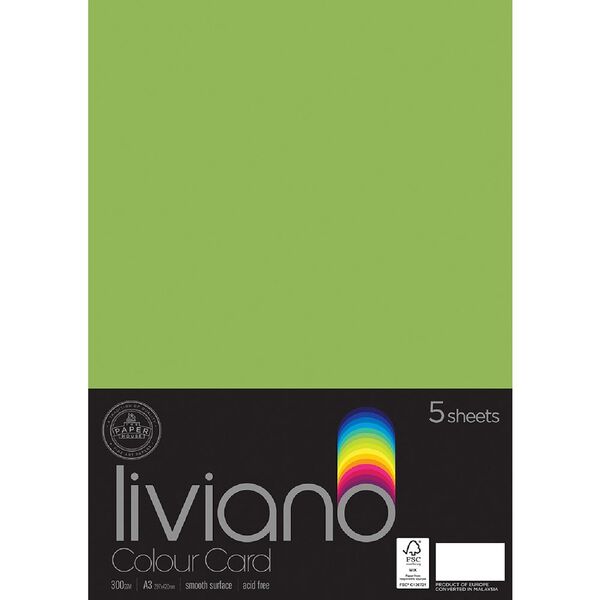 Liviano A3 Colour Card 300gsm Grass 5 Pack