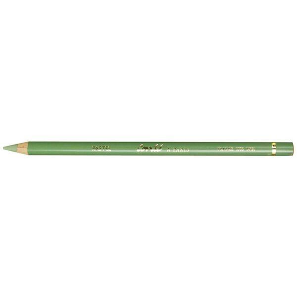 Conte Pastel Pencil Green Grey 051