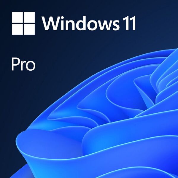 Microsoft Windows 11 Pro 64 Bit Box