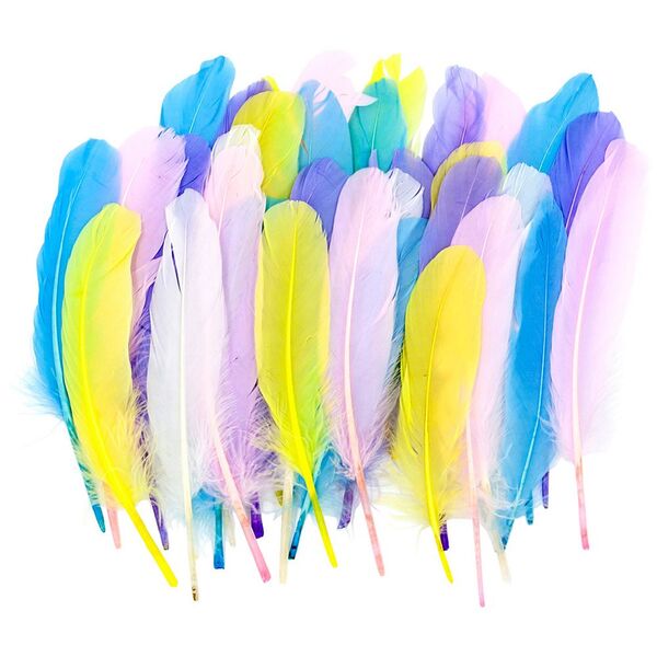 Little Learner Mixed Quills Pastel 50 Pack