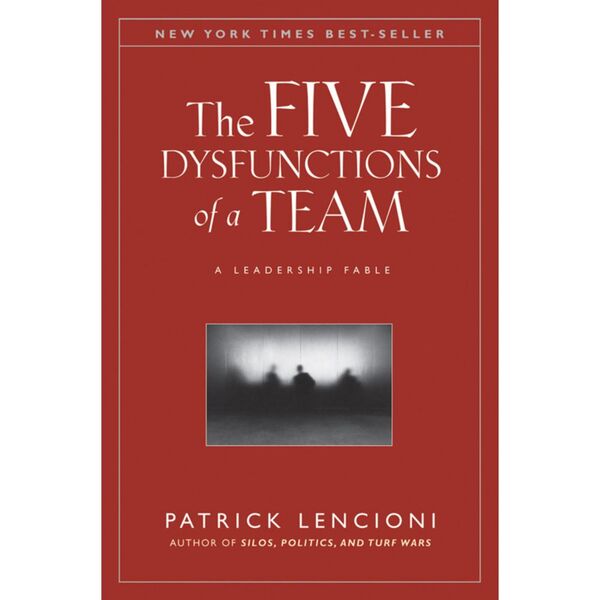 The Five Dysfunctions Of A Team Book