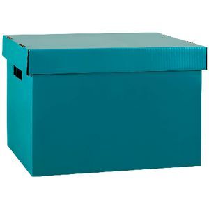 Officeworks Archives Box Marbig Coloured Archive Box Teal | Officeworks